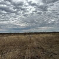 New Listing 10.5 Acres Tract 12 Shackelford County images 5