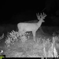 The 180 Ranch images 2