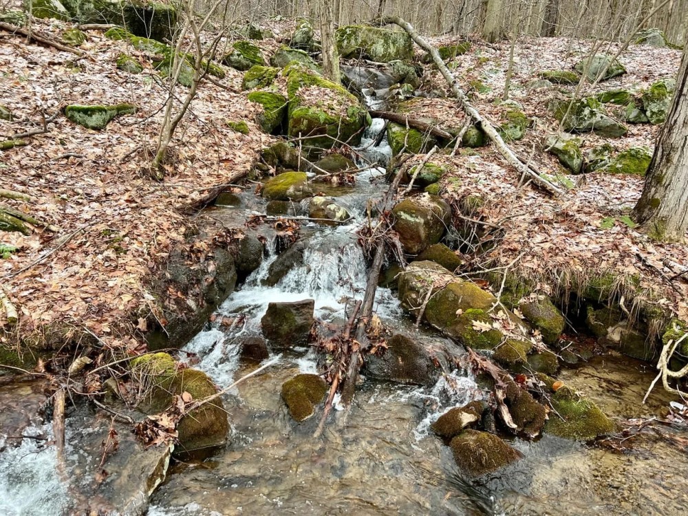 Grimm Rd. Fayette County - 118 acres featured image