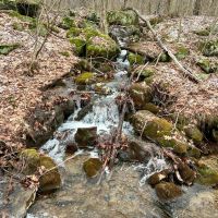 Grimm Rd. Fayette County - 118 acres