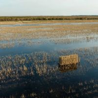 11 600 acres of World Class Hunting Property and Lodge For Sale in Hyde County NC images 2