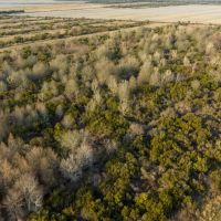 11 600 acres of World Class Hunting Property and Lodge For Sale in Hyde County NC images 3