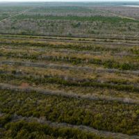 11 600 acres of World Class Hunting Property and Lodge For Sale in Hyde County NC images 5