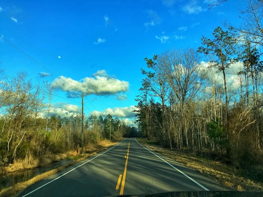 Green Island Road Tract Calcasieu Parish 31 Acres featured image