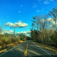 Green Island Road Tract Calcasieu Parish 31 Acres