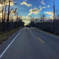 Green Island Road Tract Calcasieu Parish 31 Acres images 2