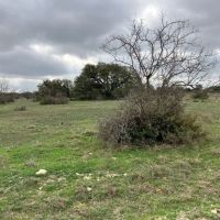 Cross Oaks South 1335 - Acres McCulloch Co images 5