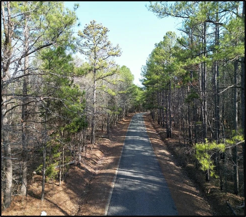 40 Acres in Oktibbeha County in Starkville MS featured image