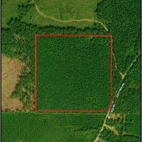 40 Acres in Oktibbeha County in Starkville MS images 2