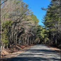 40 Acres in Oktibbeha County in Starkville MS images 3