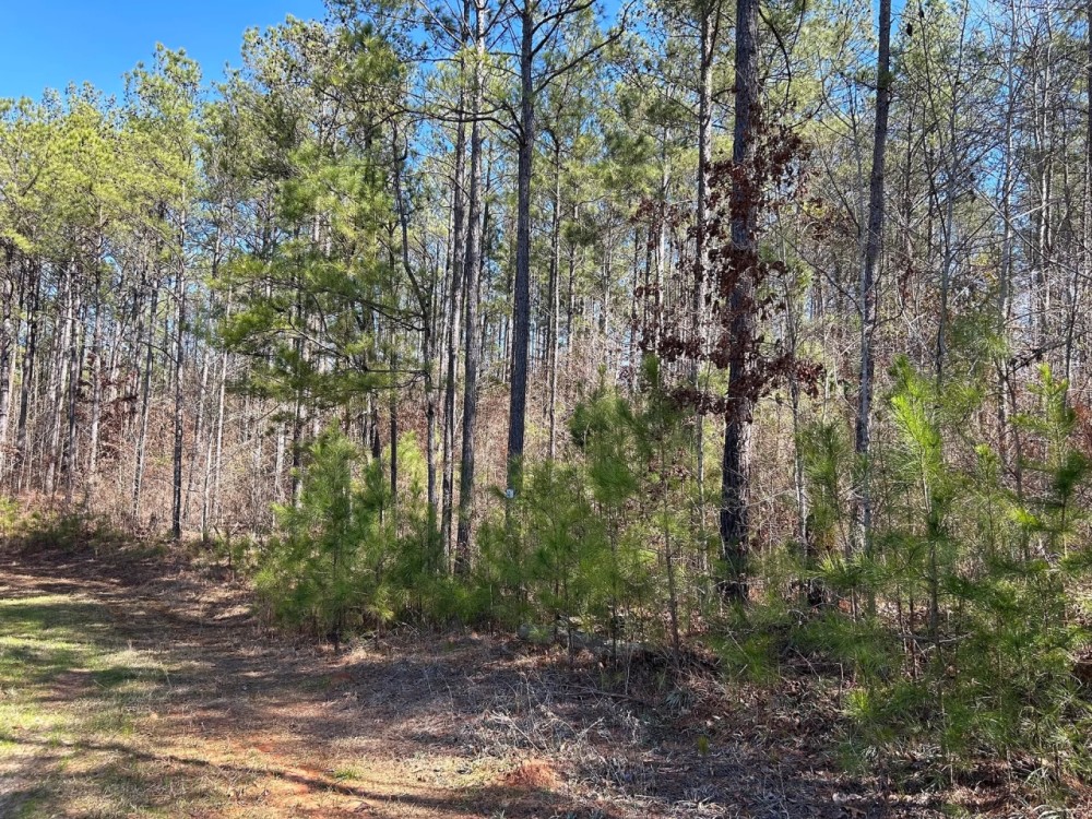 03-046-hwy-231-hwy-94 featured image