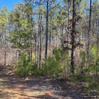 03-046-hwy-231-hwy-94
