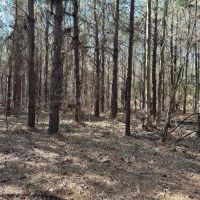 03-046-hwy-231-hwy-94 images 2