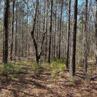 03-046-hwy-231-hwy-94 images 3