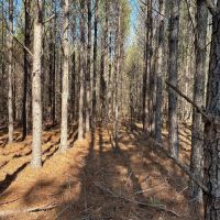 03-046-hwy-231-hwy-94 images 4