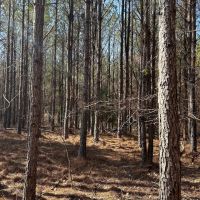03-046-hwy-231-hwy-94 images 5