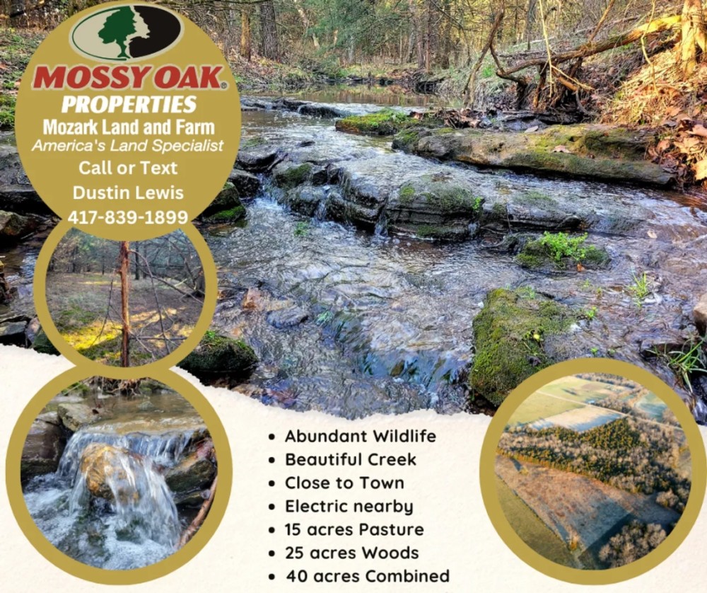 40 Acres Polk County featured image