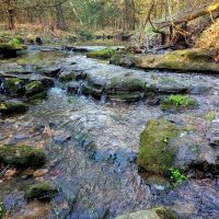 40 Acres Polk County images 2