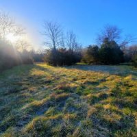 40 Acres Polk County images 4