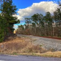 Green Moore Road Tract Calcasieu Parish 36 Acres images 2