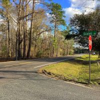 Green Moore Road Tract Calcasieu Parish 36 Acres images 4