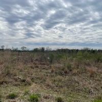 35 Ac Thomas Grove Rd images 3