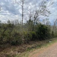 35 Ac Thomas Grove Rd images 4