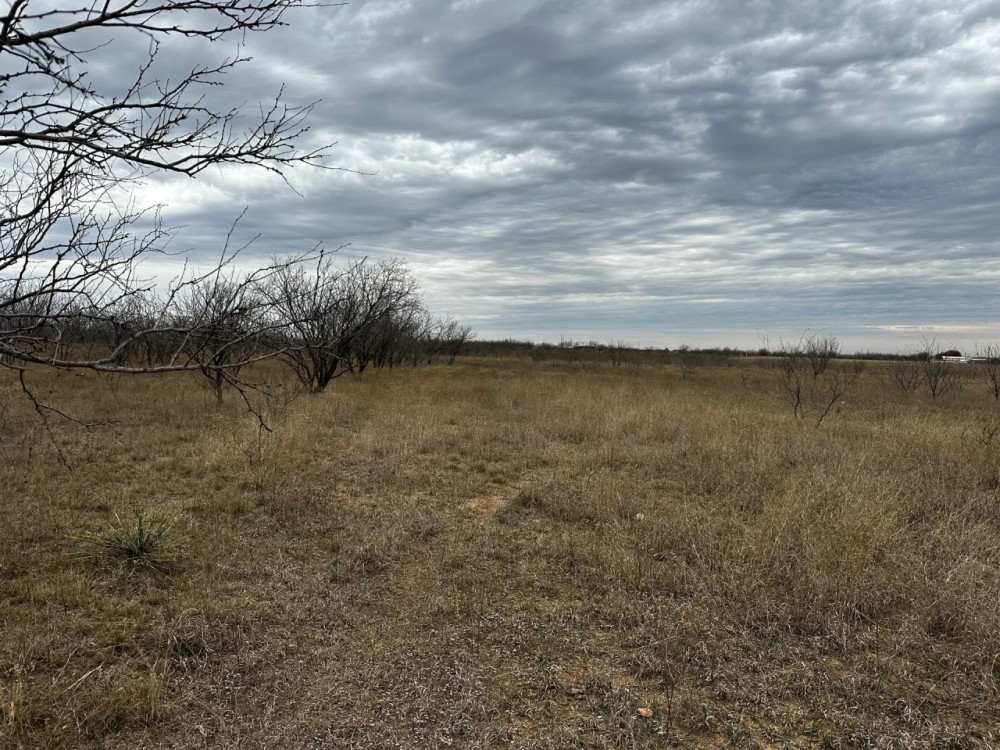 New Listing 10.5 Acres Tract 11 Shackelford County featured image