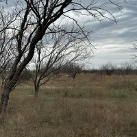 New Listing 10.5 Acres Tract 11 Shackelford County images 2