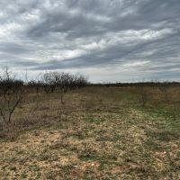 New Listing 10.5 Acres Tract 11 Shackelford County images 4