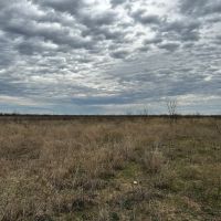 New Listing 10.5 Acres Tract 11 Shackelford County images 5
