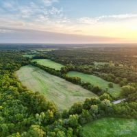 Arcadia 5 Acres images 2