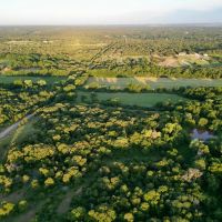 Arcadia 5 Acres images 5