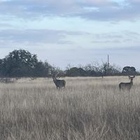 Img 5513