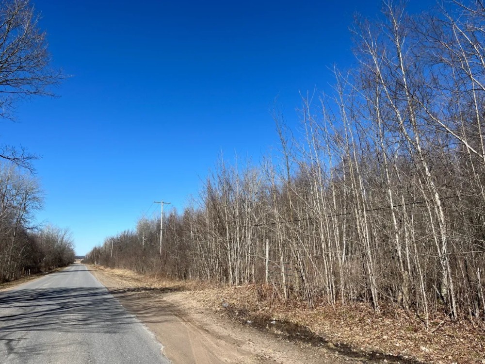 9 acre Wooded County Building Lot Russell NY featured image