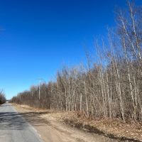 9 acre Wooded County Building Lot Russell NY