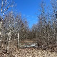 9 acre Wooded County Building Lot Russell NY images 2