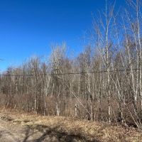 9 acre Wooded County Building Lot Russell NY images 3