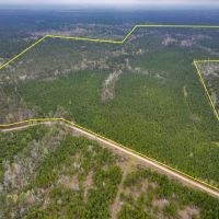 296 Acres Forest Service Road 503