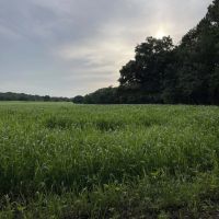 Bynum 207 images 2