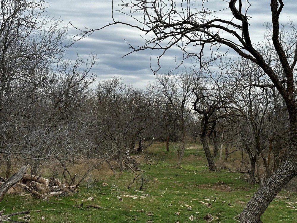 New Listing 21 Acres Tract 23 Callahan County featured image