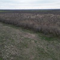New Listing 21 Acres Tract 23 Callahan County images 3