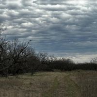 New Listing 21 Acres Tract 23 Callahan County images 5