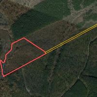 23.73 acres of Hunting and Residential Land For Sale in Warren County NC