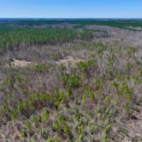 23.73 acres of Hunting and Residential Land For Sale in Warren County NC images 4
