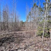23.73 acres of Hunting and Residential Land For Sale in Warren County NC images 5