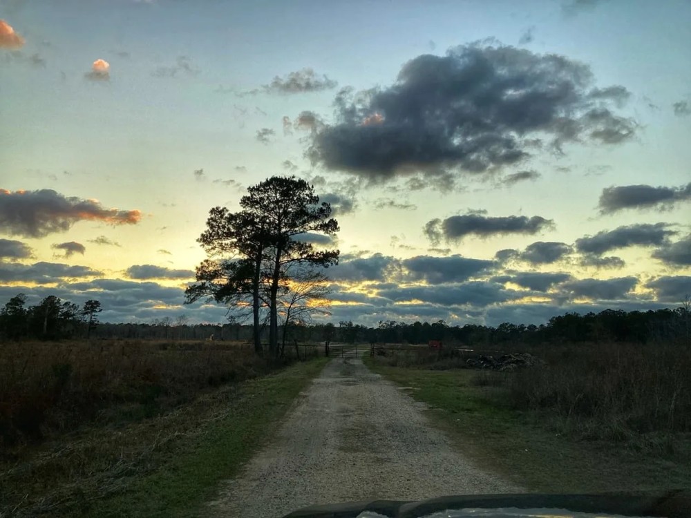 Chesson Road Tract Calcasieu Parish 21 Acres featured image
