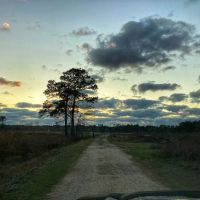Chesson Road Tract Calcasieu Parish 21 Acres