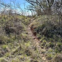 New Listing 58.5 - Acres Brown County images 2