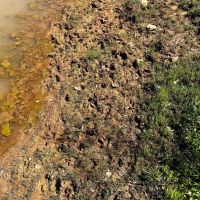 New Listing 58.5 - Acres Brown County images 3